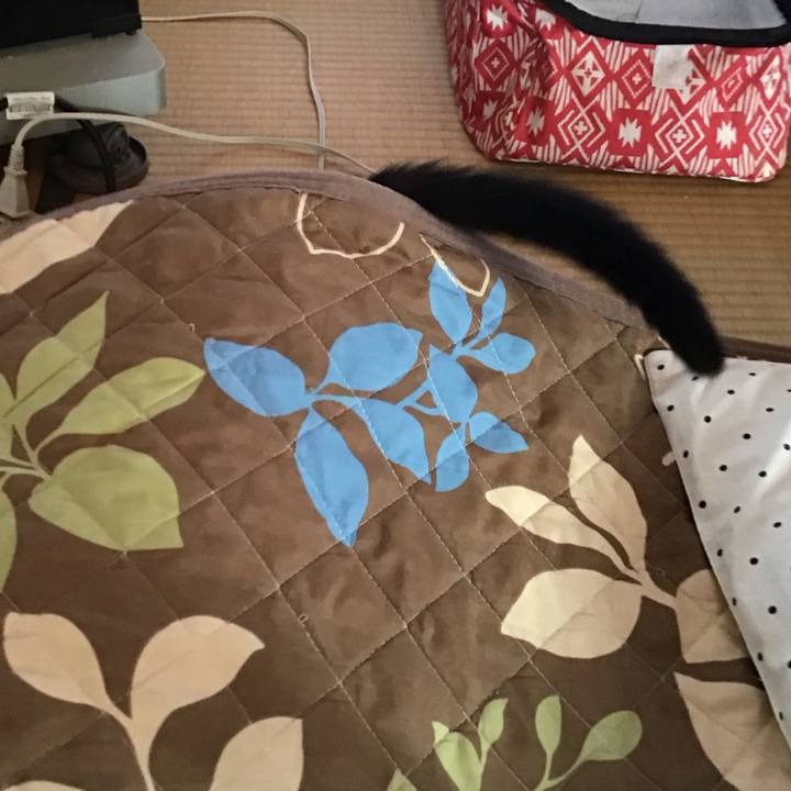 412b30d6 a553 4214 944c 8c90b5952867 1633161384610