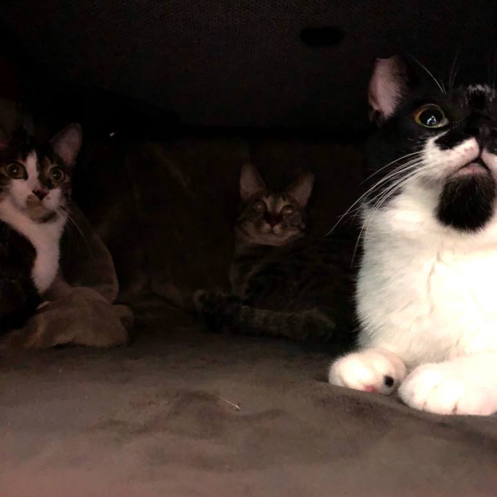 412b4109 e74b 44e7 b596 4d290d749b7a 1543627787207