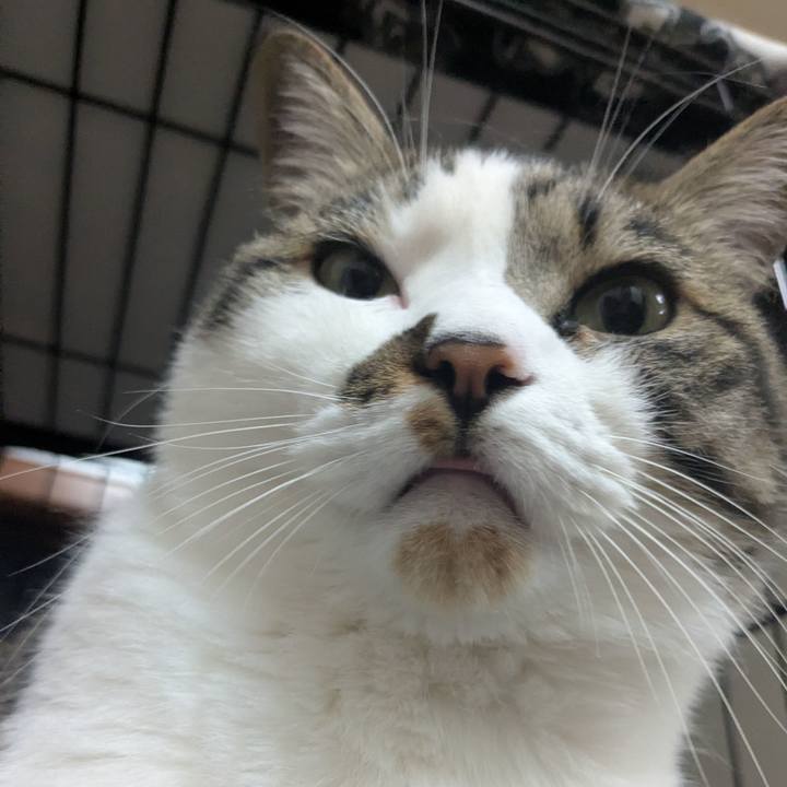 412b5778 27af 440e 9a52 eae8ebe9394d 1748208326092