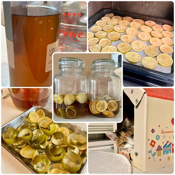 412b785c 1fb0 421e b722 380868a04cd4 1694874239091