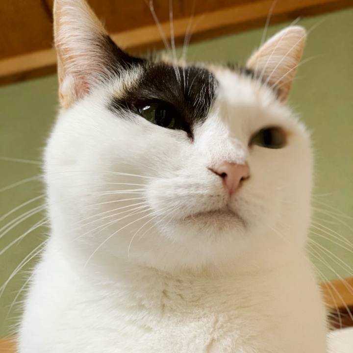 412bad97 429c 44cf bc25 a627d751153a 1544492057690