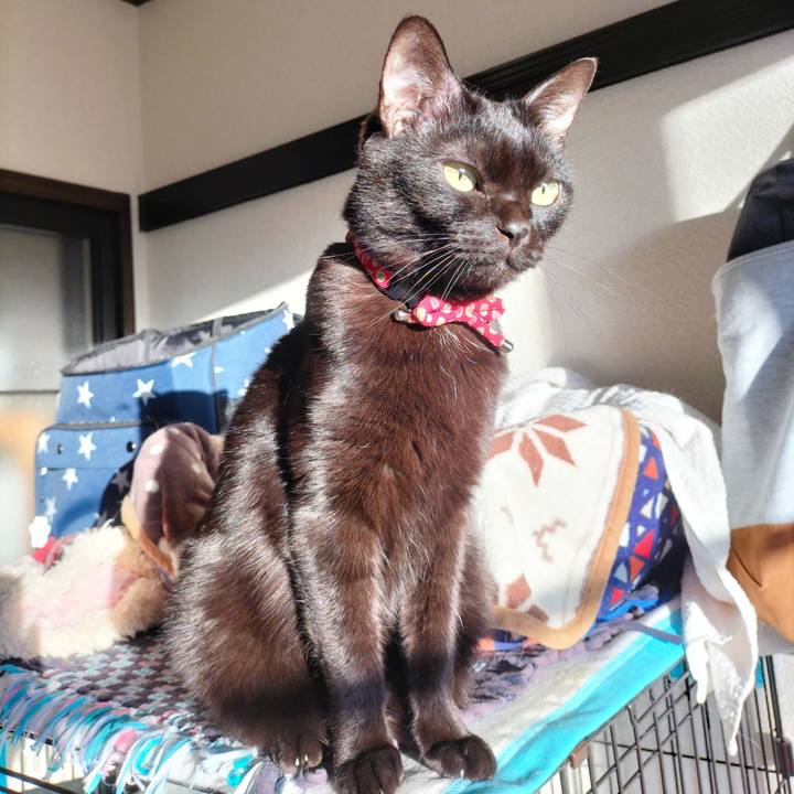 412bd002 368d 43bc b5a9 b34815d2af44 1675118577670