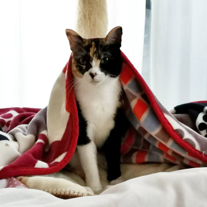 412c2fc6 f7ac 41f2 89fd d29c77fa16e2 1621953003961