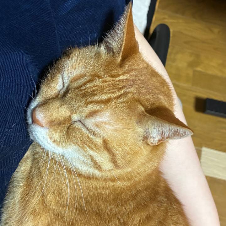 412c38a4 064f 4481 8c44 6eebac57c9e0 1750333166251