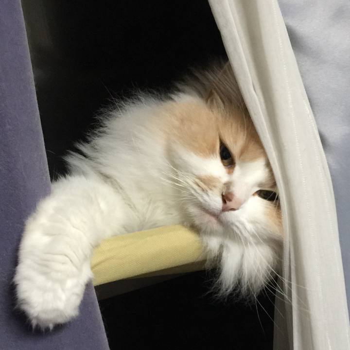 412c4ce3 bae6 4ce6 8dd0 716009750d66 1530021144569