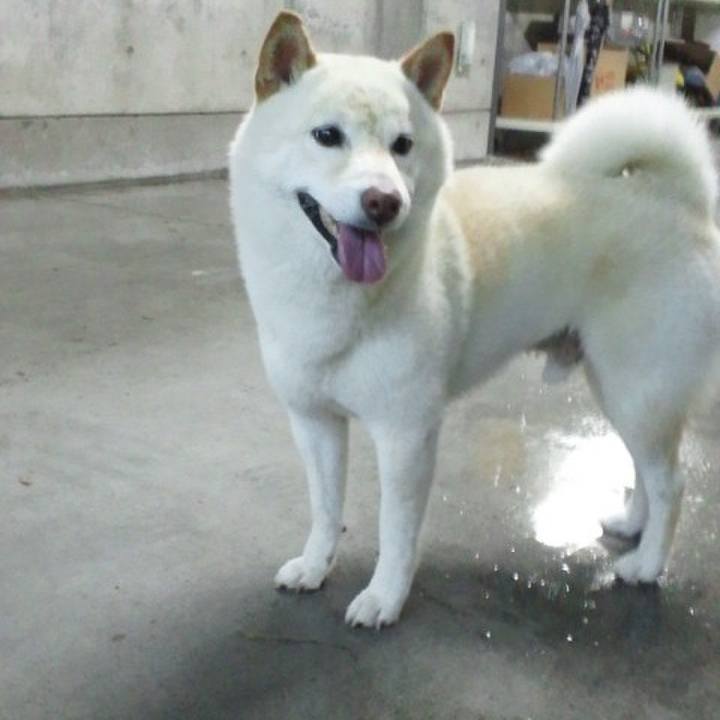 412c6bdd 8d1c 4b9d 8401 dc1102a97a4b 1658641125864