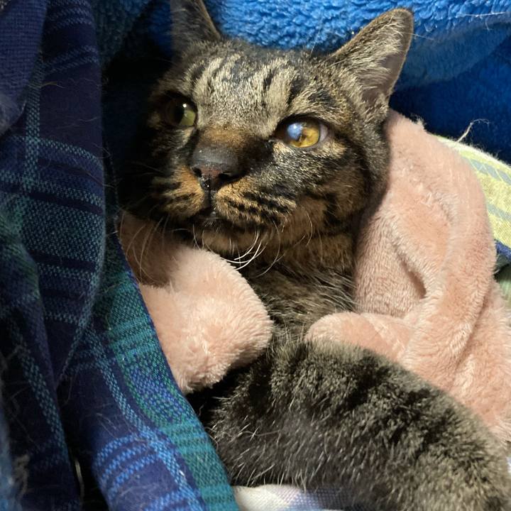 412ca080 8930 4de9 ba36 a3572c5fd53a 1639804561361