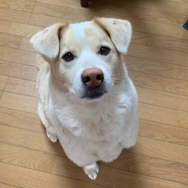 412ca764 8902 4070 a401 d370499917a0 1582325217250