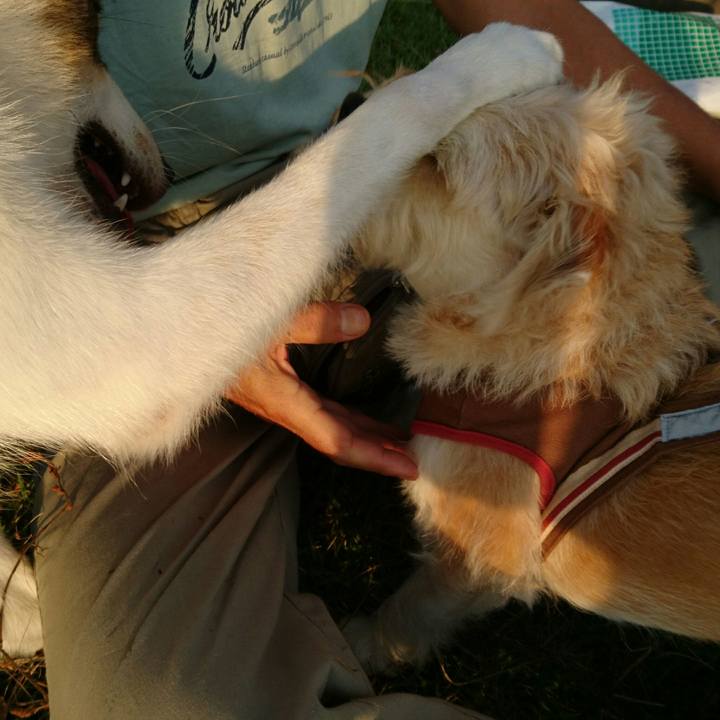 412cf342 63a1 4937 862b b32e9e12d4ef 1536044323578