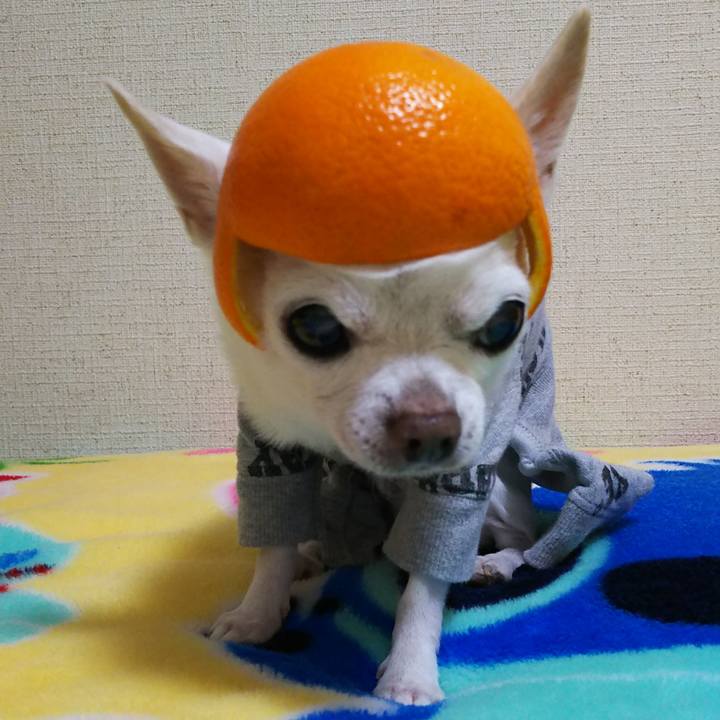 412d5b8a 3f7e 4882 8493 2b7ab6b53a4c 1548585069050