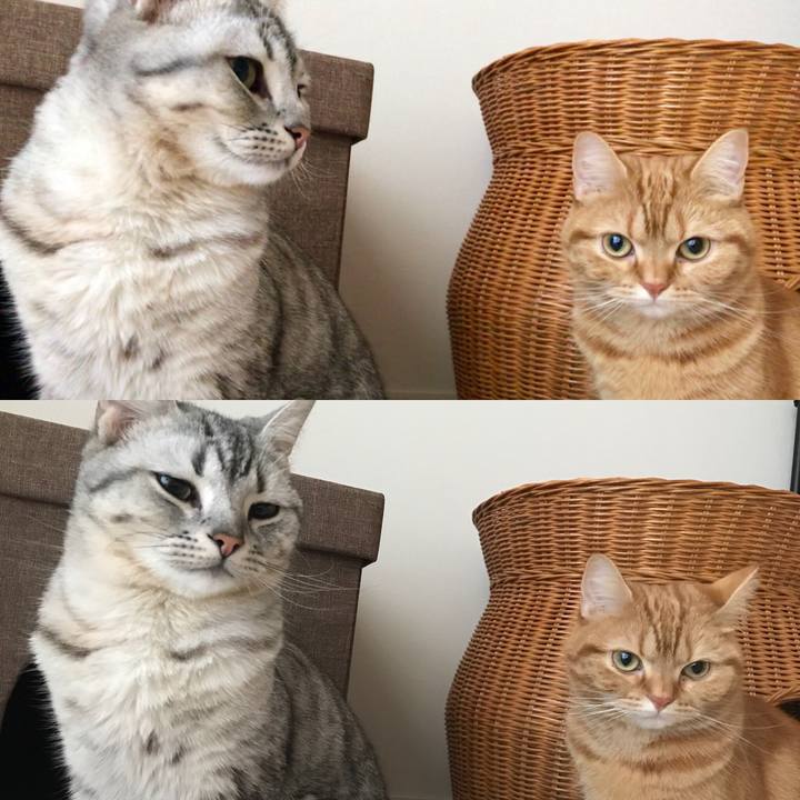 412d5bcc 174a 4f3f b449 eff756a29180 1522100754374