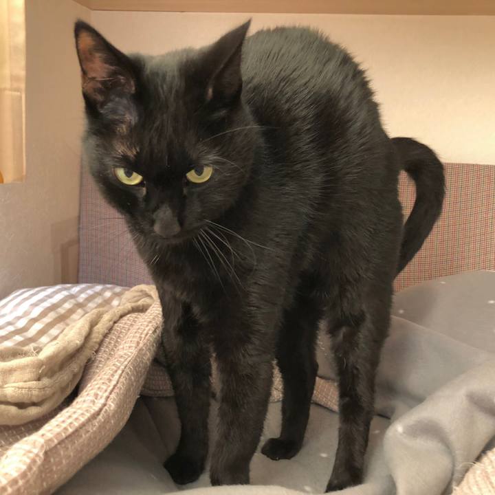 412d79e2 5531 4518 b74c 6bdcc85bf753 1612054992614