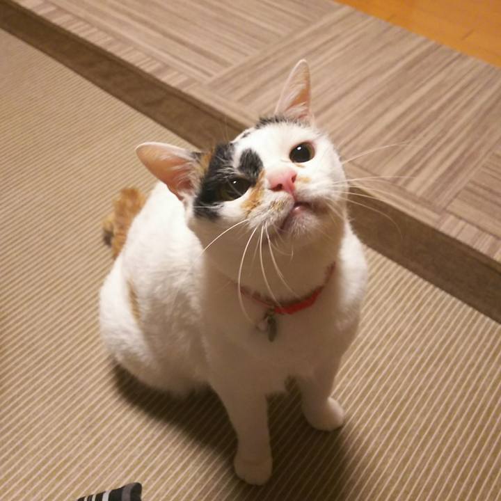 412d854b ea73 4415 981f d0353b871f72 1528024350727