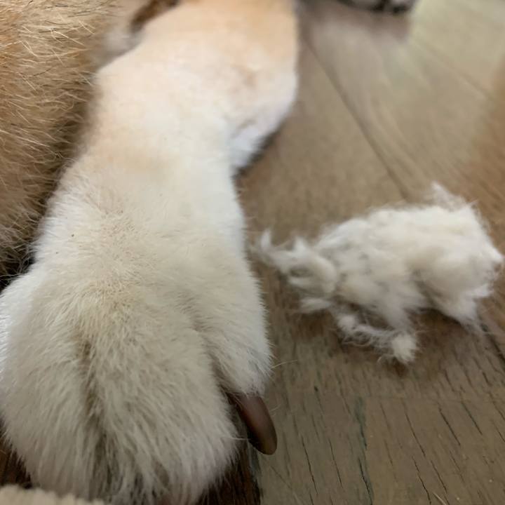 412d8da0 0bc6 4a33 a1c2 7c60a31ea927 1618834774855