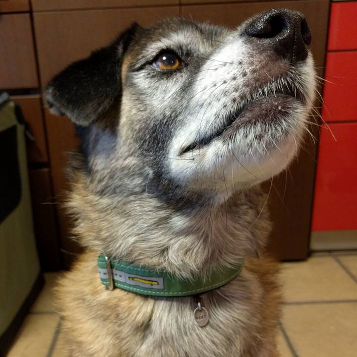 412d9d8b e264 4cd8 ac26 5839a182ecc0 1746145633039