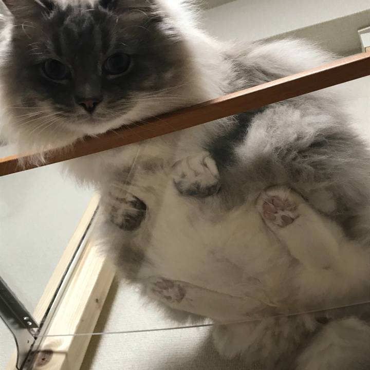 412dd515 45f6 4187 8130 e536cae89d7f 1521673288495