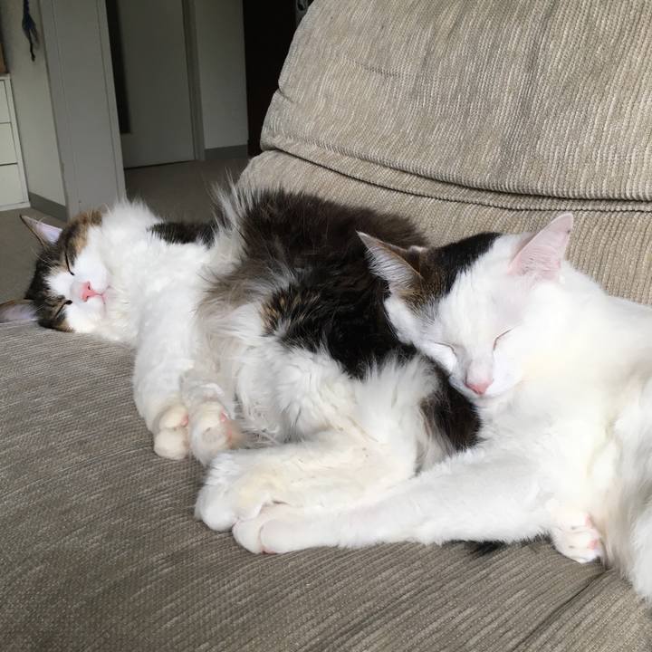 412ddf64 12df 4399 a088 f179767c4619 1525409981264