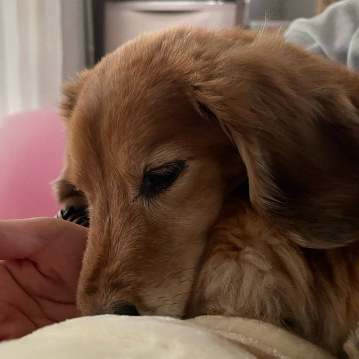 412e0179 0b21 4ae2 8221 c089bddf7e83 1642073340673