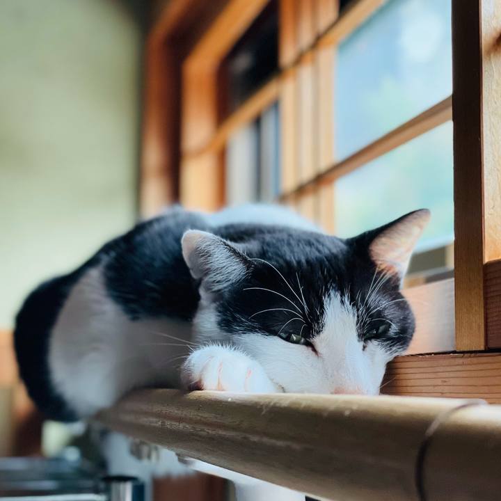 412e09fe 35f8 470c 92f9 5fda3cc2deb0 1662083720759