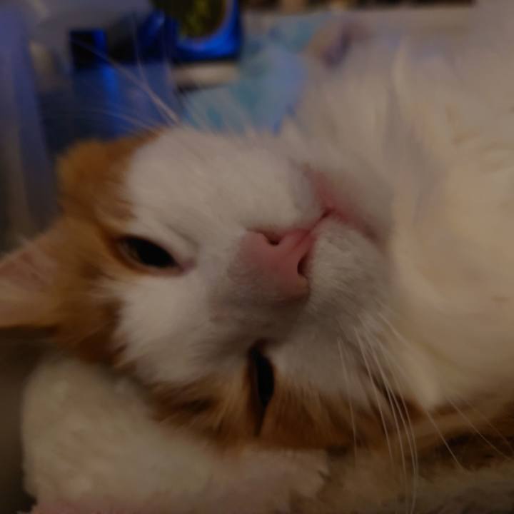 412e136f c4dd 4b07 9fa1 f63860071191 1618926125433