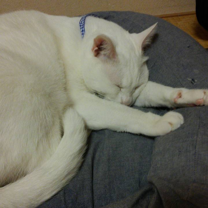 412e5da6 2247 45cd 954d 12edce442591 1523717797023