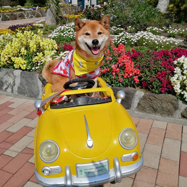 412e6d95 25ee 42f8 9842 6fc1b6d24c67 1616840413443