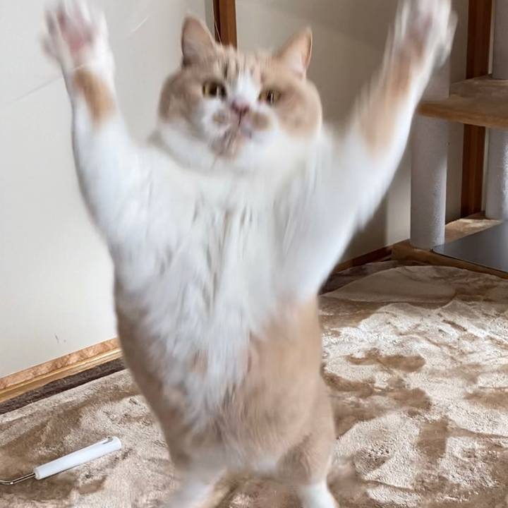 412e6e31 d25a 416a 8346 b4fcf89778df 1606535678381