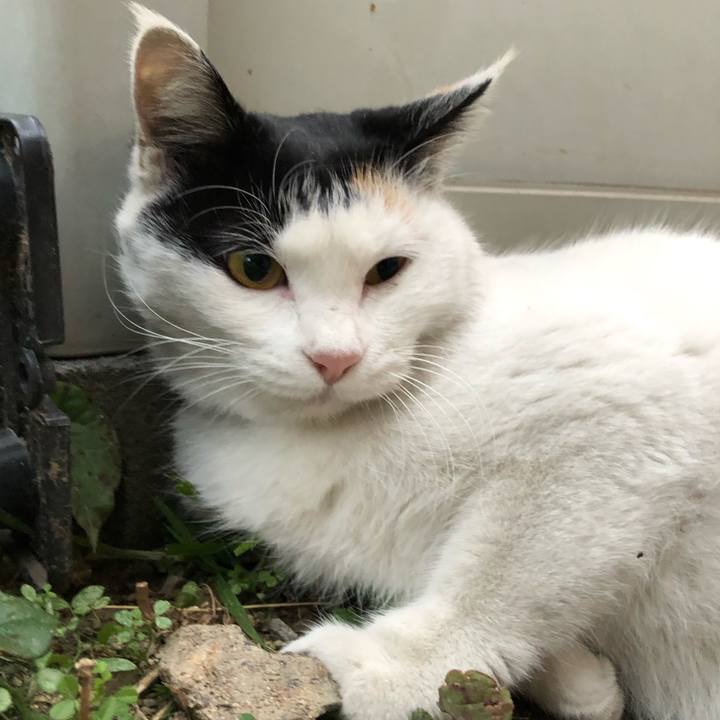 412ede48 0ab9 4578 a287 ec52f10d53b0 1607380066336