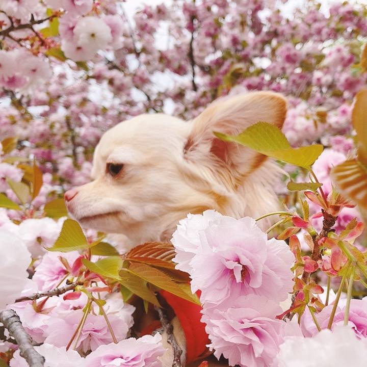 412ef237 8bd5 4685 8ba3 6f553fc0f5f4 1617964860264