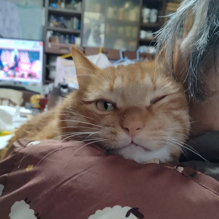 412f4119 9b3f 4051 98d8 1b95687b2113 1705039421318