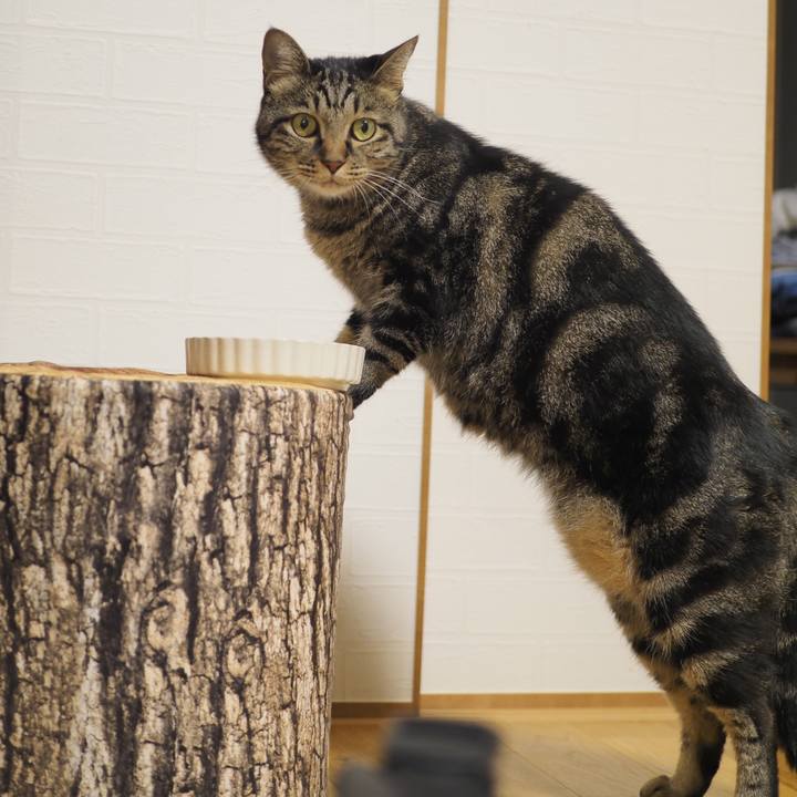 412f78e2 c397 41cc 9be9 d7389120d781 1664026226568