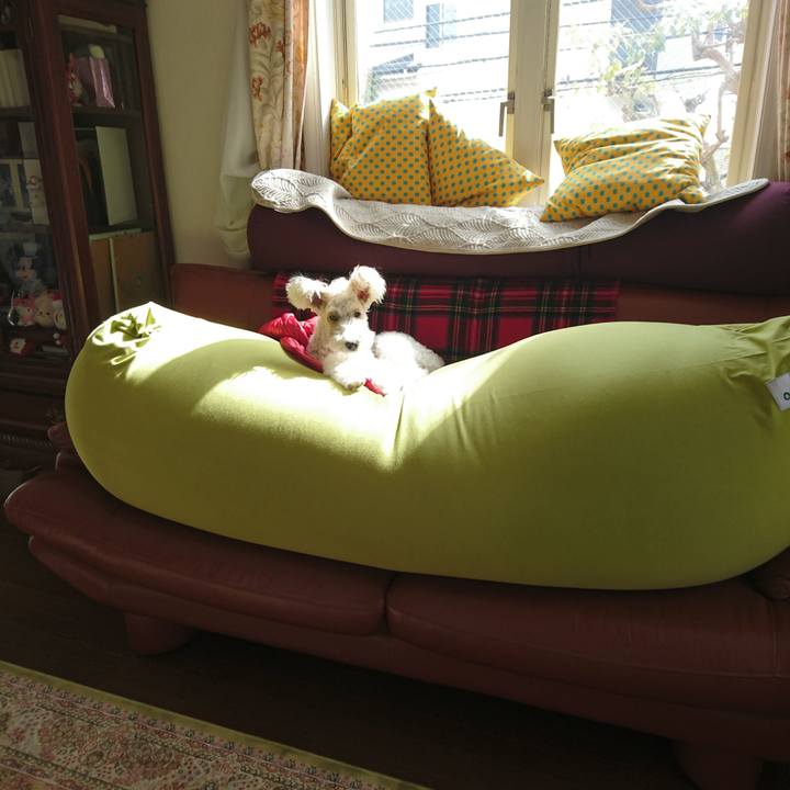 412f9d36 bfeb 459f 8d4e 366a420fdf41 1549943207995