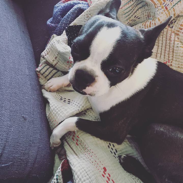 413005c5 75e6 4218 b829 68da6719a3b2 1531902734783