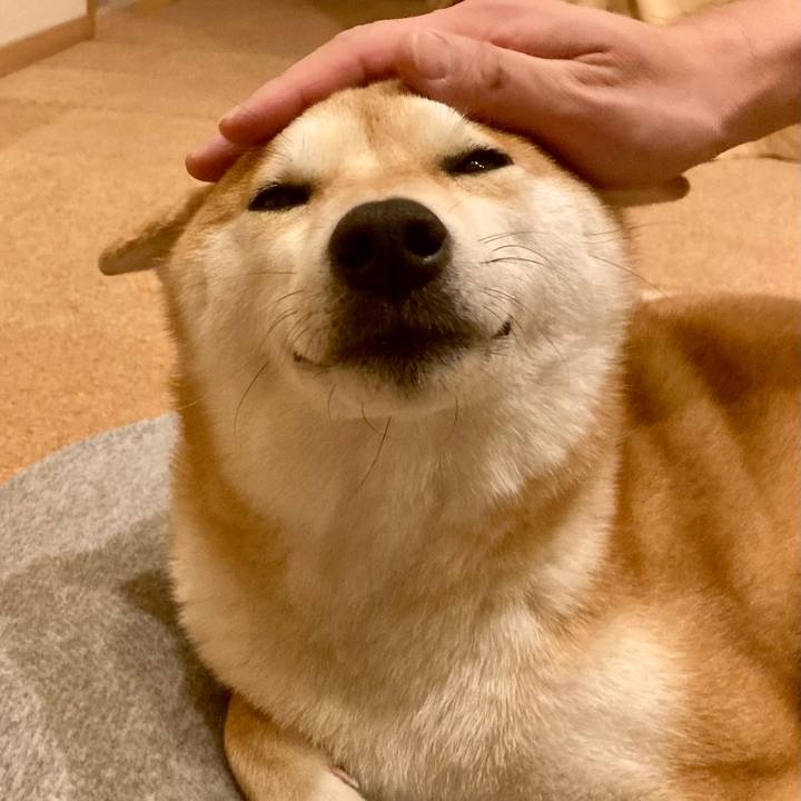 41302c05 e93f 4117 854c 2a9eb4dbf005 1708480602313