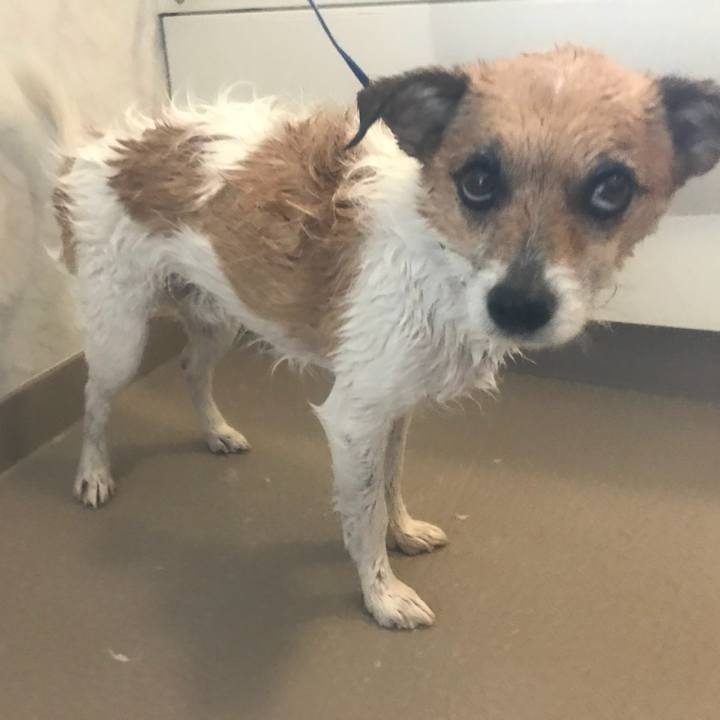 413058f2 171a 43da a493 21a0ae71cd35 1518660087634