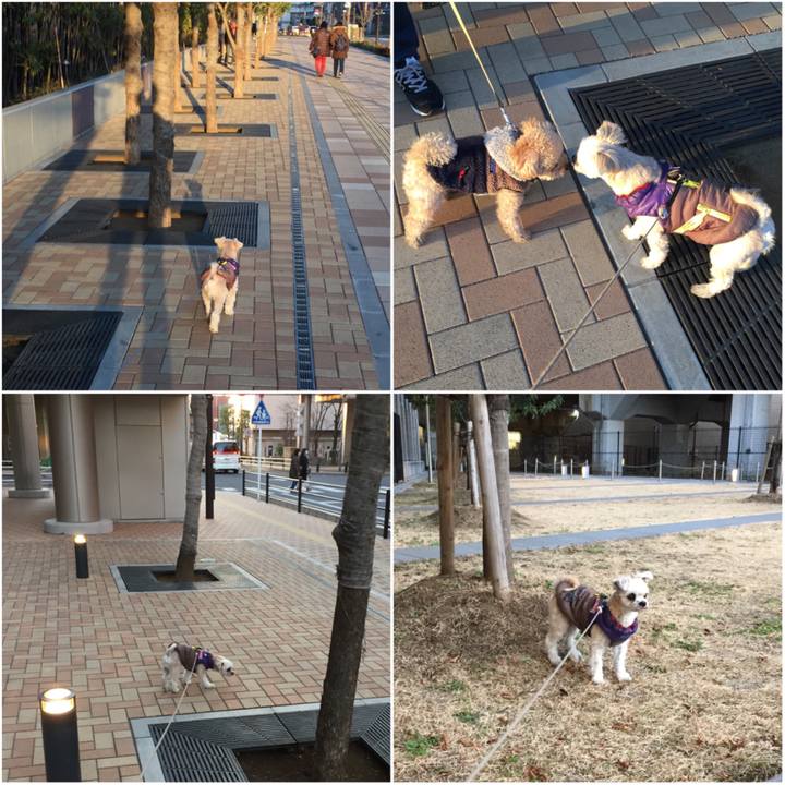 41305ae5 f938 48f0 99f7 a1fabbd0109b 1547889491756