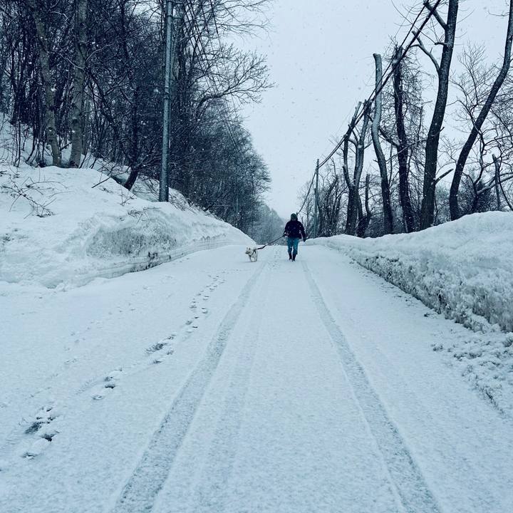 41305cf9 e310 4757 9bac 459c8a544c3a 1772578431217