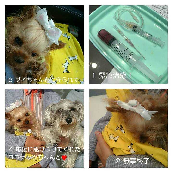 41308f53 951e 47ed a12d f34cb24d6107 1525594404613