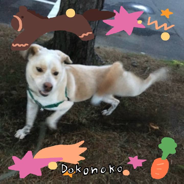 413092cd 0514 44f5 956d 9d7461717f0c 1772191616665