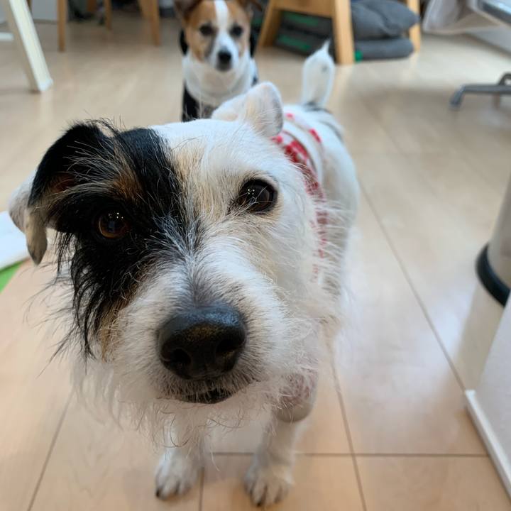 4130aa69 9c63 4c7e 9c73 d4d7cc24fb63 1580095135477