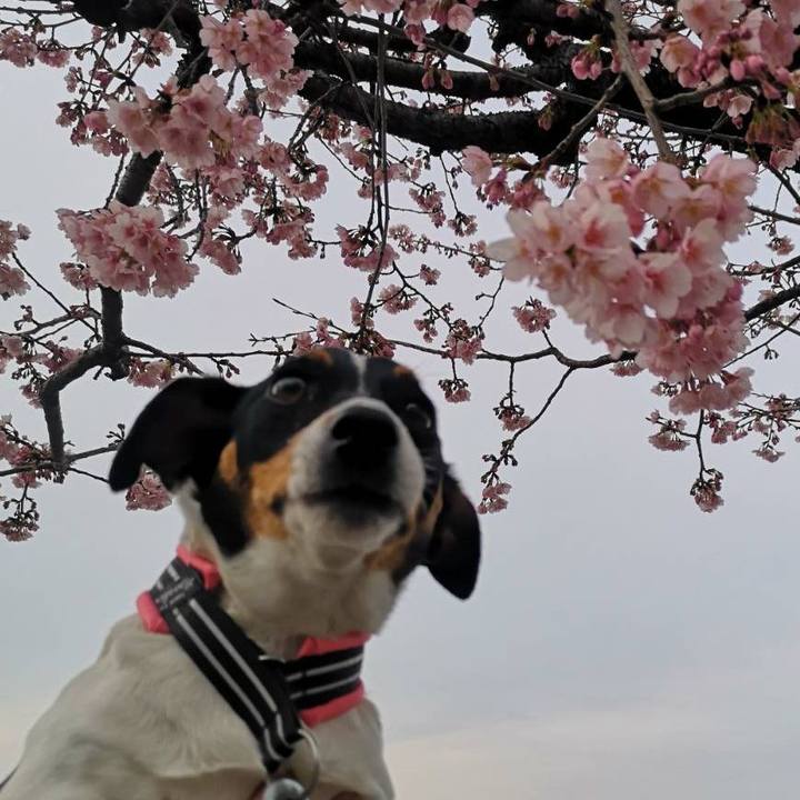 4130cba5 e43a 4235 b6ef 20e530157bb2 1647432415513