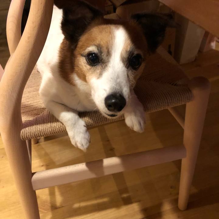 4130e9cd 523d 4276 a73e dad0134ca005 1524271035524