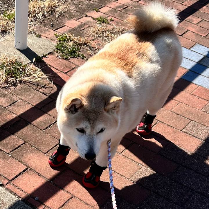 41311eb6 a545 45e0 849c 969581ad9bda 1739159912831