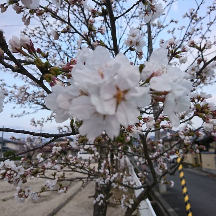 41314526 2846 4846 b734 acecb50fc333 1522533718603