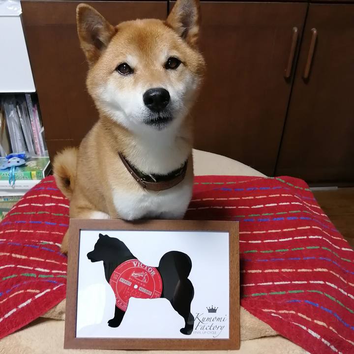 41319a37 ac1c 419b 9669 f727ce3b41c7 1627215972861