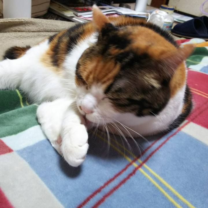 4131f499 ef6e 4654 a6d0 06d28c9fe10c 1542803415691