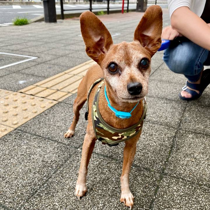 413209d0 231b 4383 ac81 949b524afcea 1625360118320