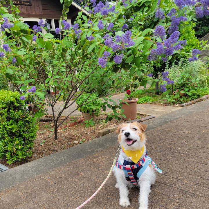 41321ed6 ed72 4ca1 96da f447848dfa84 1748064208806