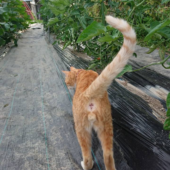 41327b07 b39e 4d9b 8372 df3bc0aeb1d3 1562665644007