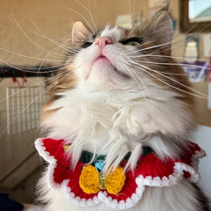 41328962 8161 485a 95d5 397dec07c763 1764727030798